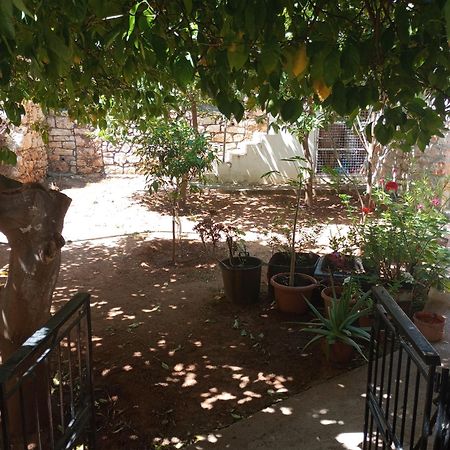 Paradisos Kastellorizou Meyísti Dış mekan fotoğraf
